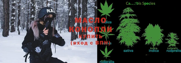 хмурый Вязьма