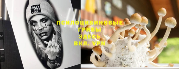 синтетический гашиш Вяземский