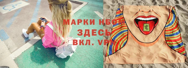 PSILOCYBIN Волосово