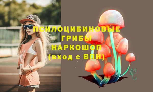 синтетический гашиш Вяземский